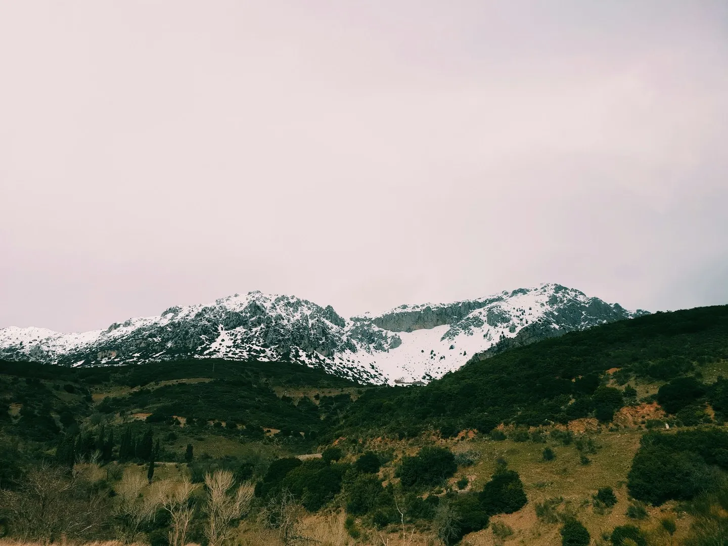 Snow-covered peaks of Mount Parnassus above green scrub-covered hills under a pale sky near Delphi